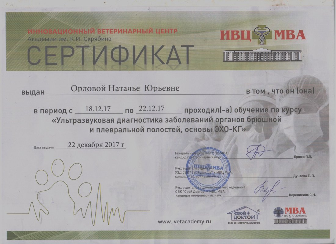Документ или сертификат