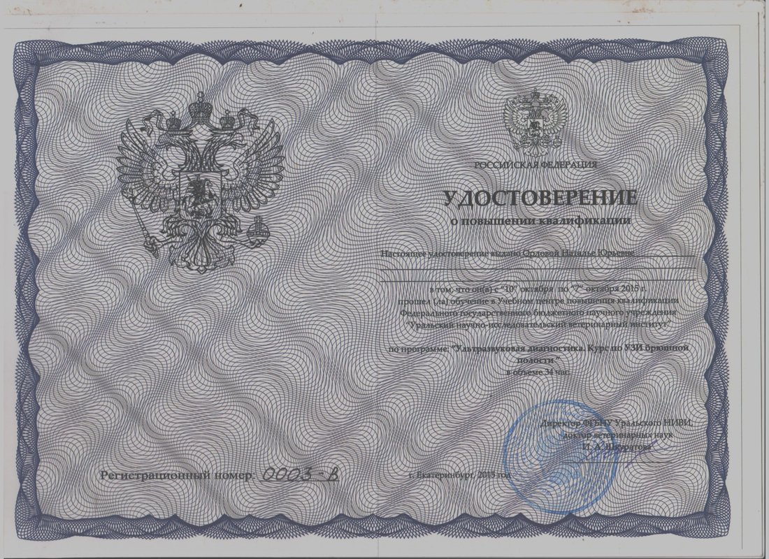 Документ или сертификат
