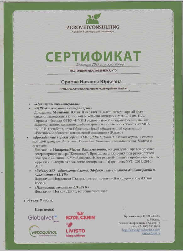 Документ или сертификат