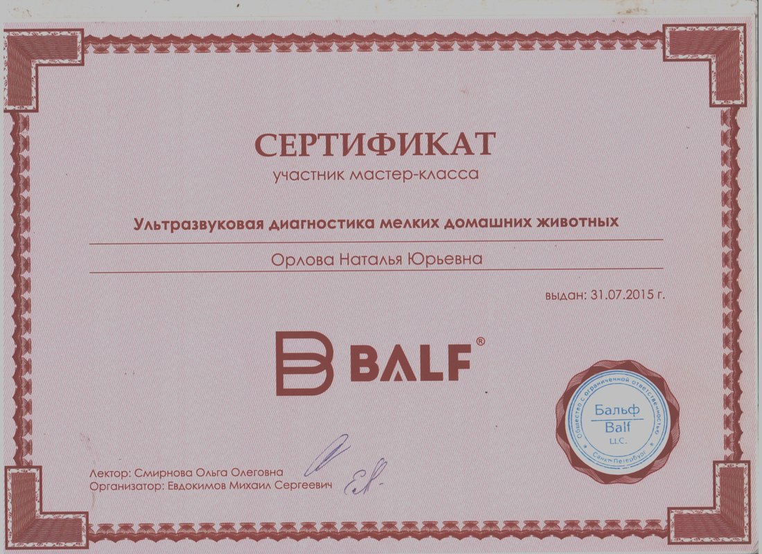 Документ или сертификат