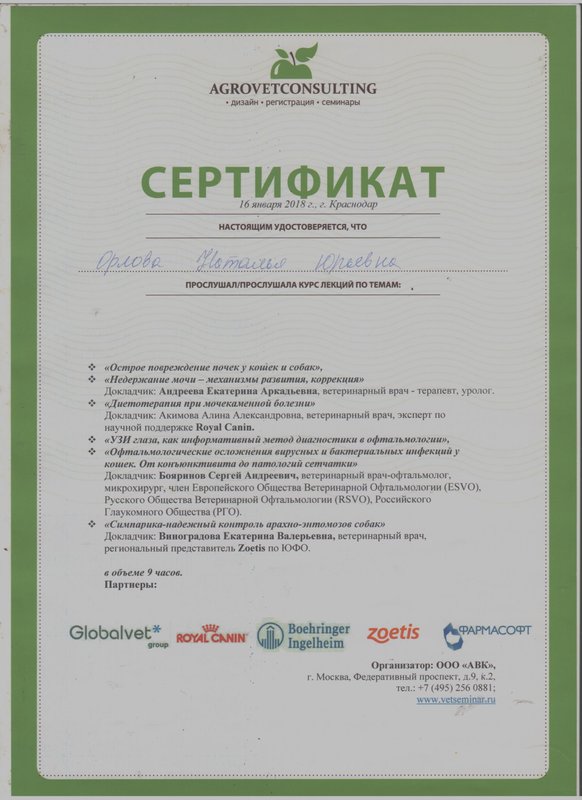 Документ или сертификат
