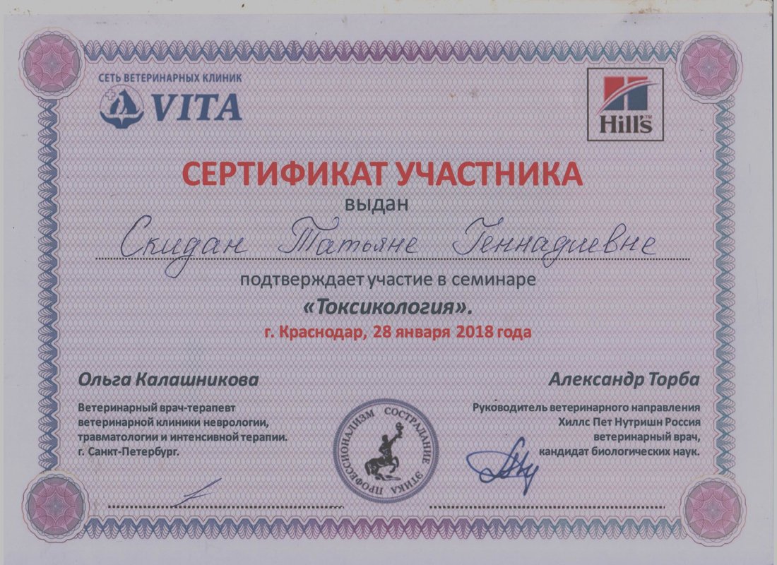 Документ или сертификат