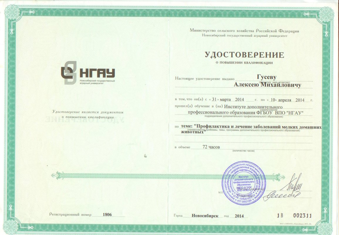 Документ или сертификат