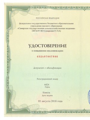 Фото врача Павлова Тамара Владимировна