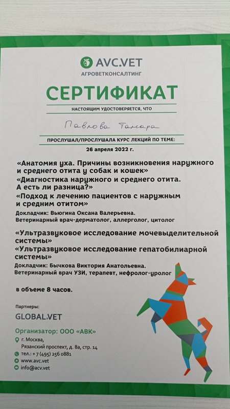 Документ или сертификат