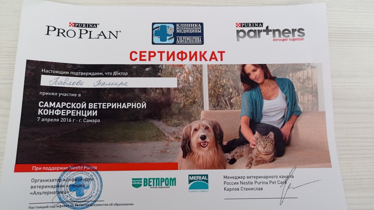 Документ или сертификат