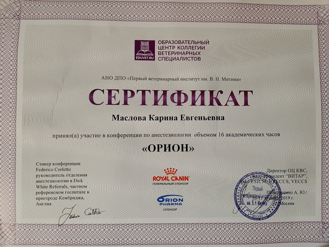 Документ или сертификат