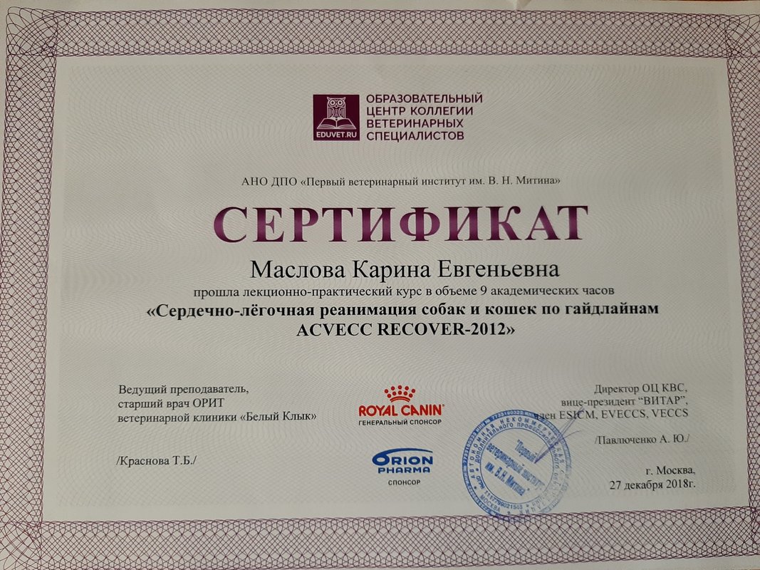 Документ или сертификат
