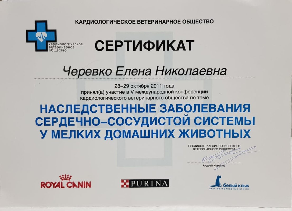 Документ или сертификат