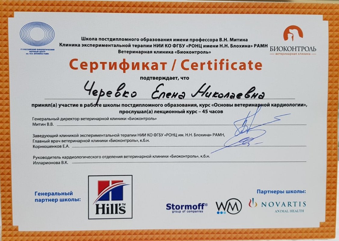 Документ или сертификат