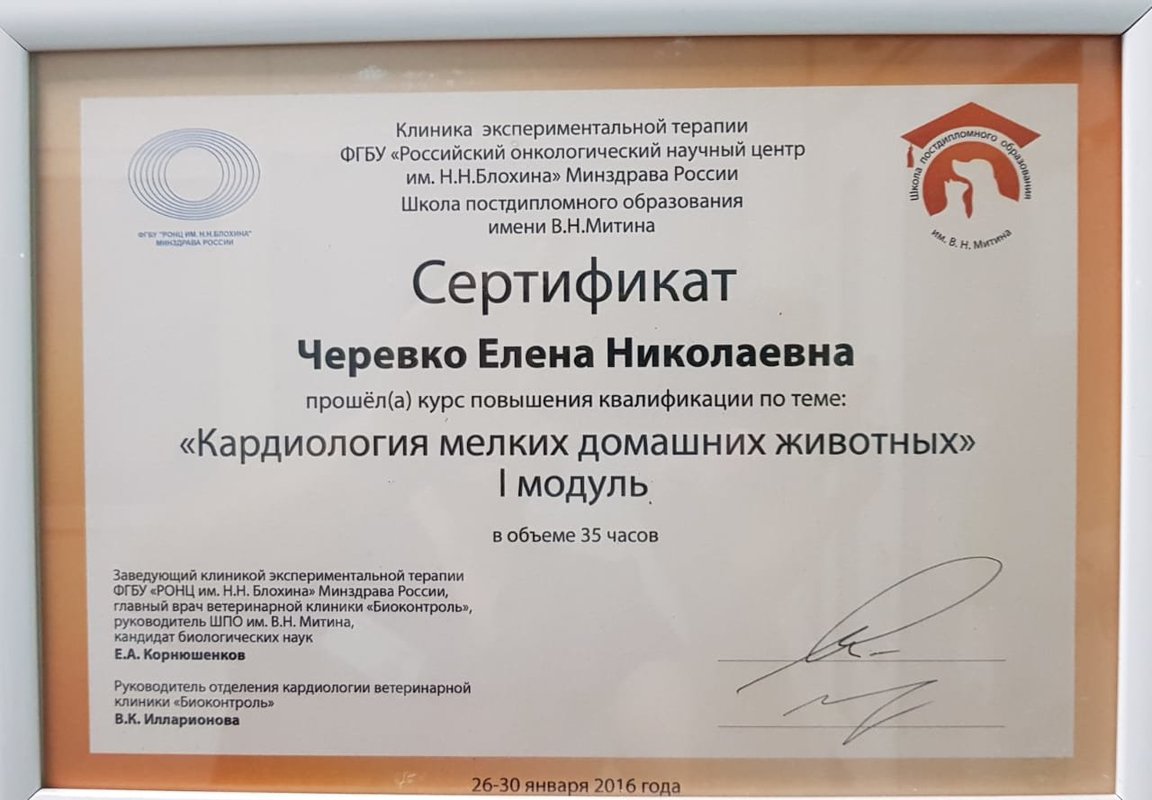 Документ или сертификат