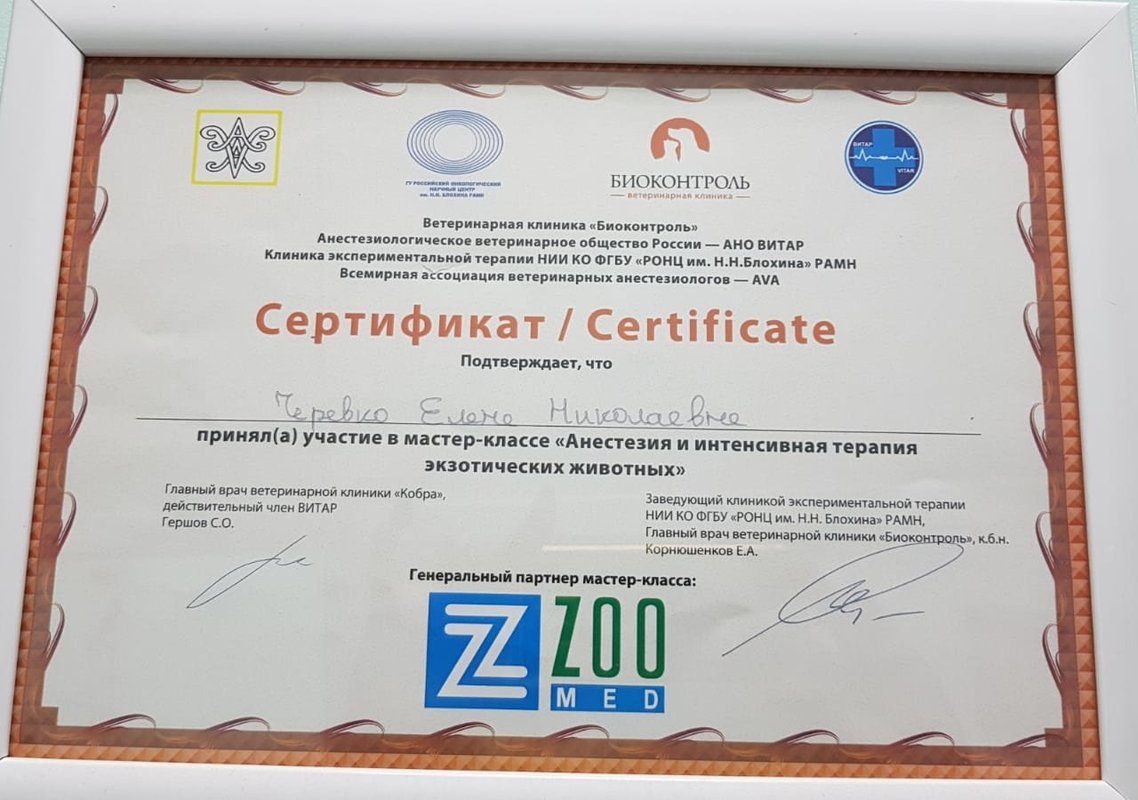 Документ или сертификат