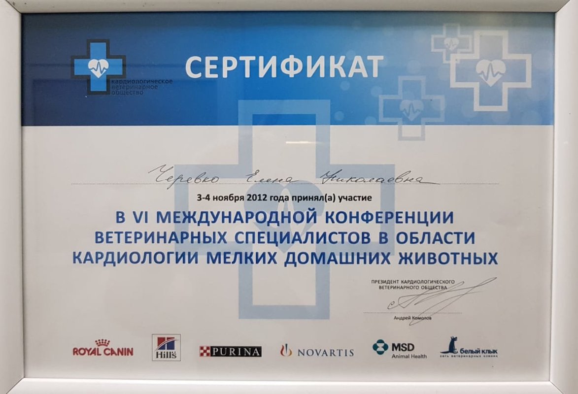 Документ или сертификат
