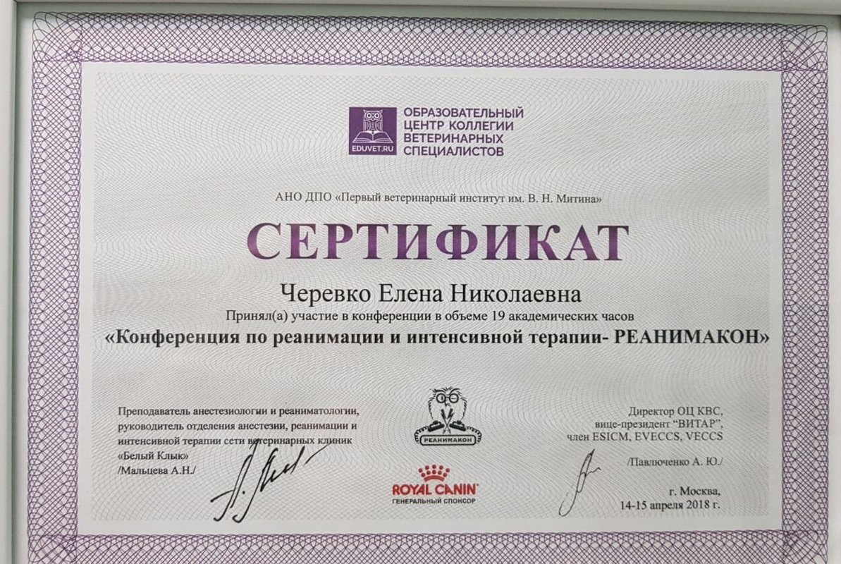 Документ или сертификат