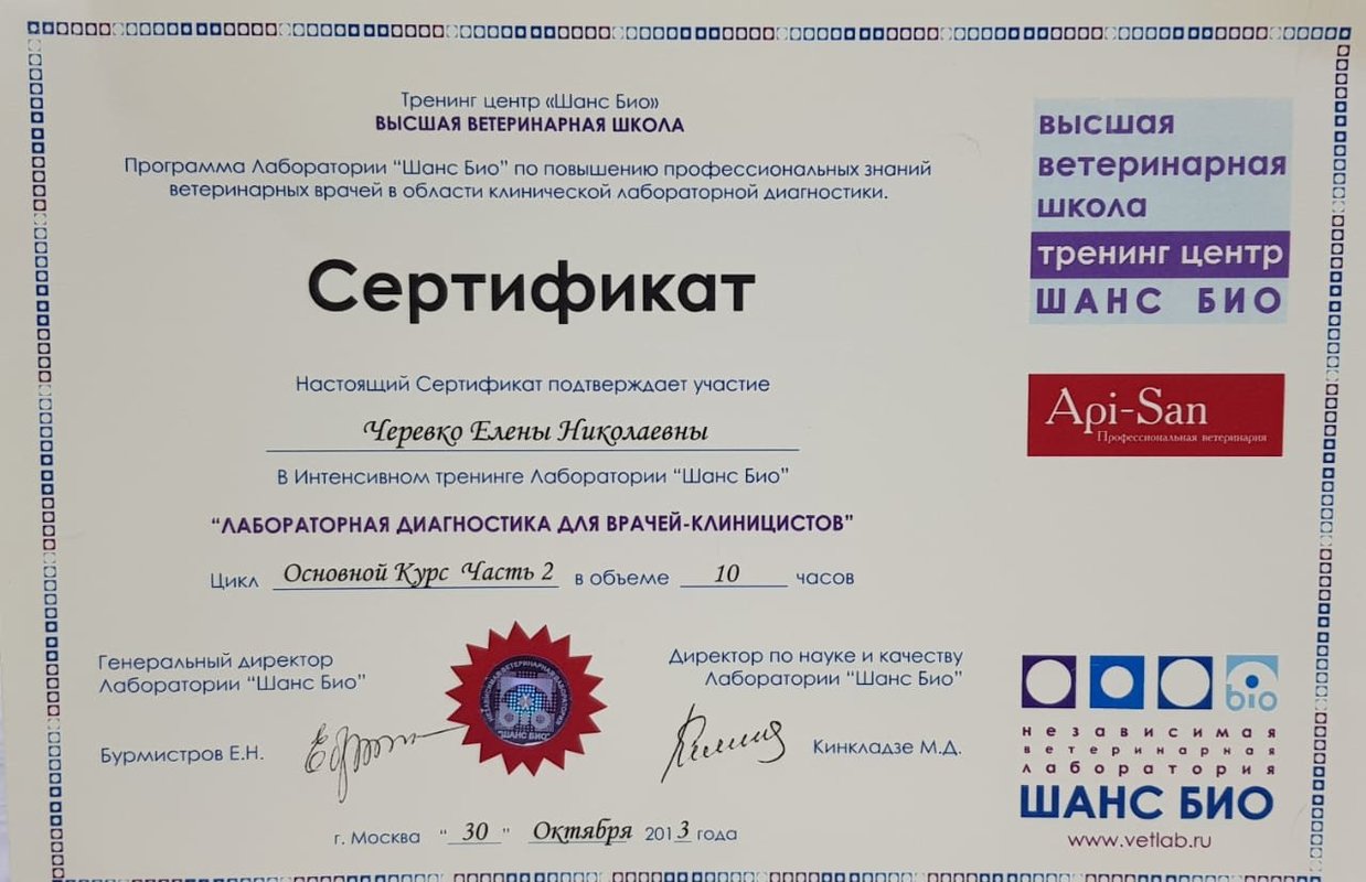 Документ или сертификат
