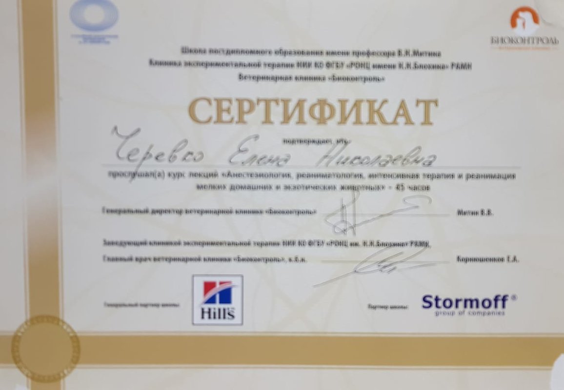 Документ или сертификат