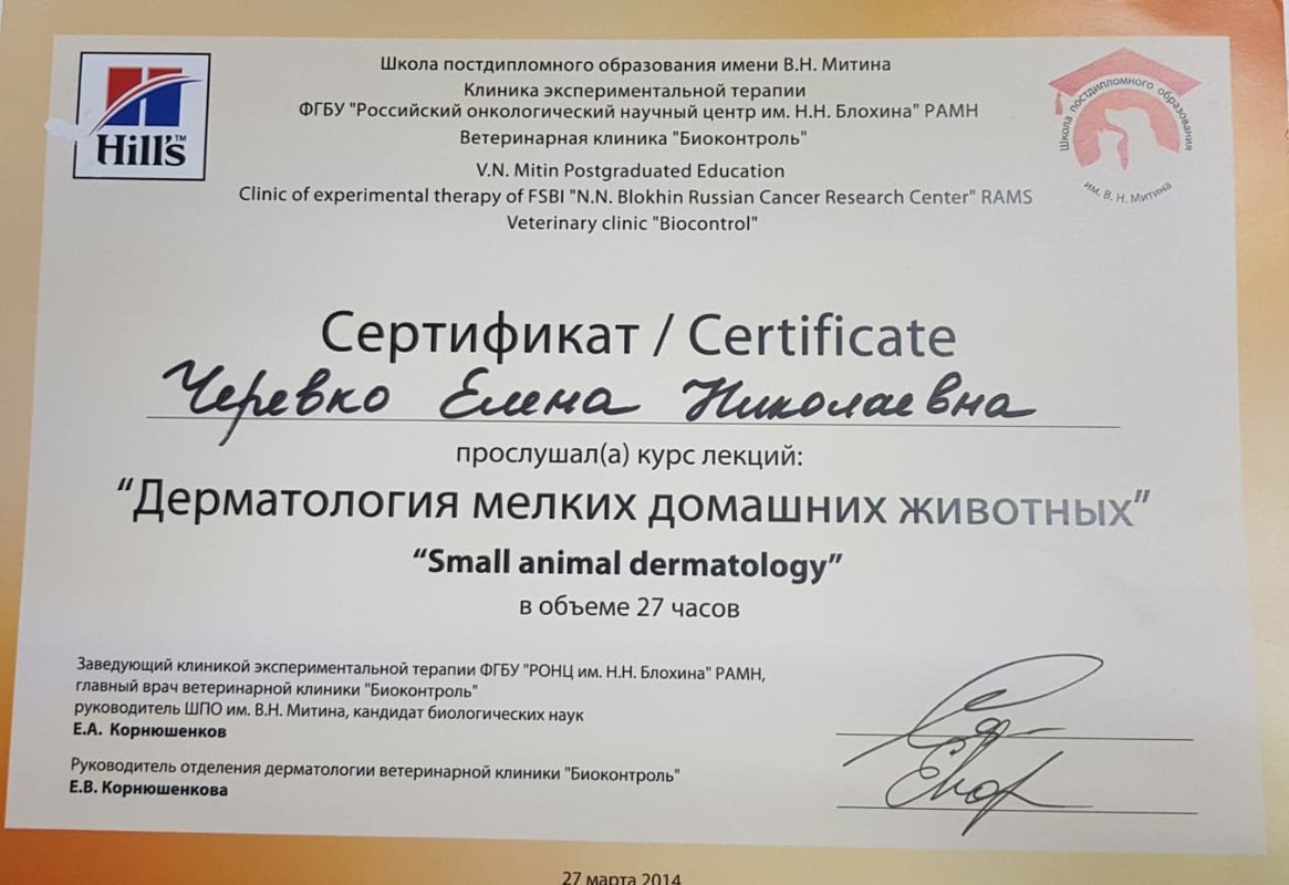 Документ или сертификат