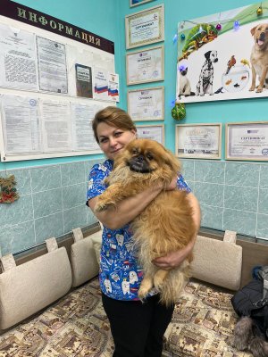 Фото «Проездова Александра Сергеевна»