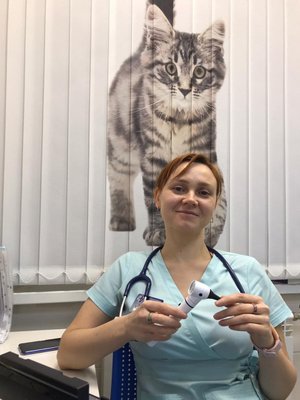 Фото врача Выговская Екатерина Леонидовна