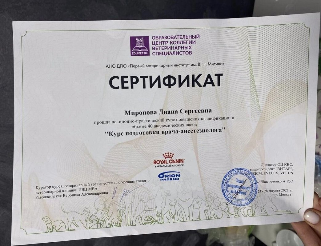 Документ или сертификат
