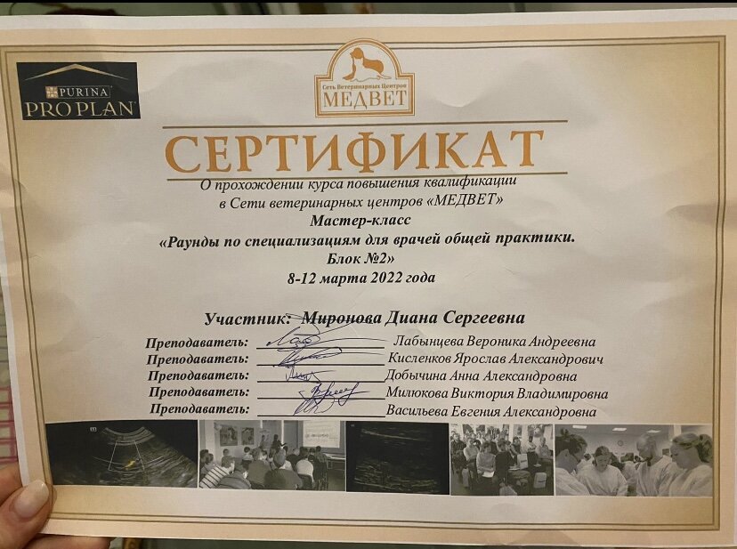 Документ или сертификат