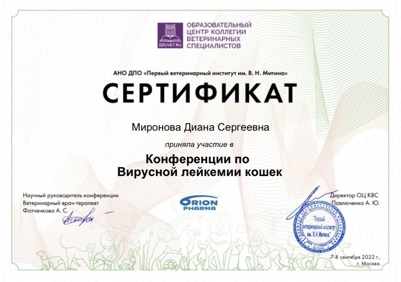 Документ или сертификат