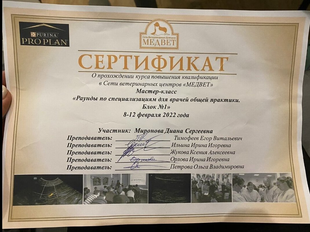 Документ или сертификат