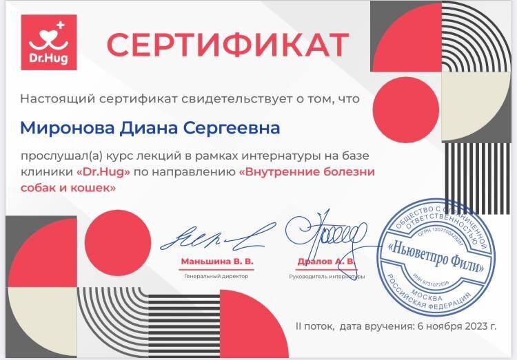 Документ или сертификат