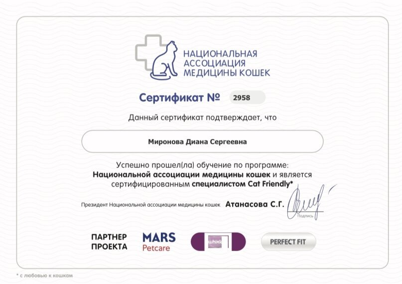 Документ или сертификат