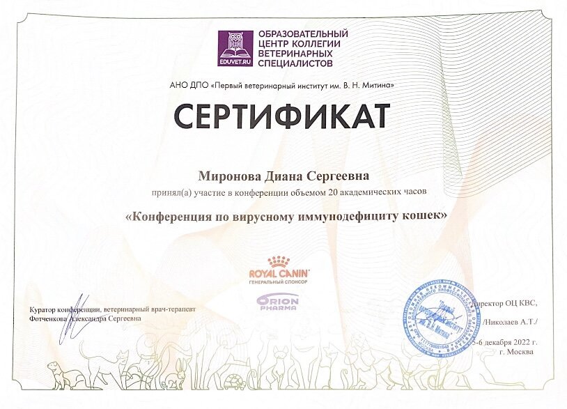 Документ или сертификат