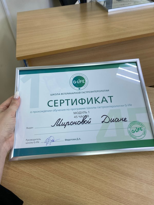 Документ или сертификат