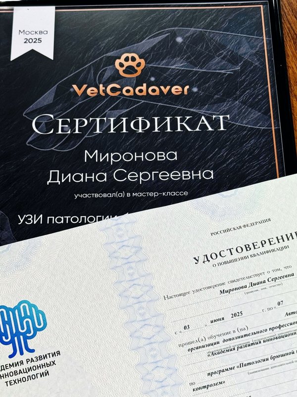 Документ или сертификат