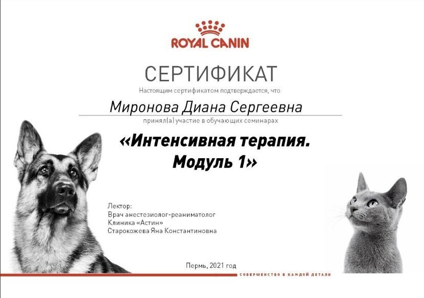 Документ или сертификат