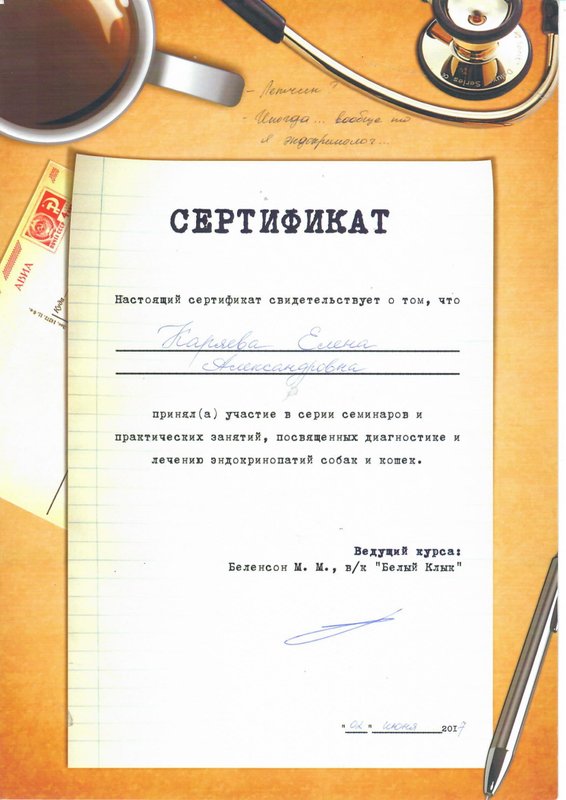 Документ или сертификат