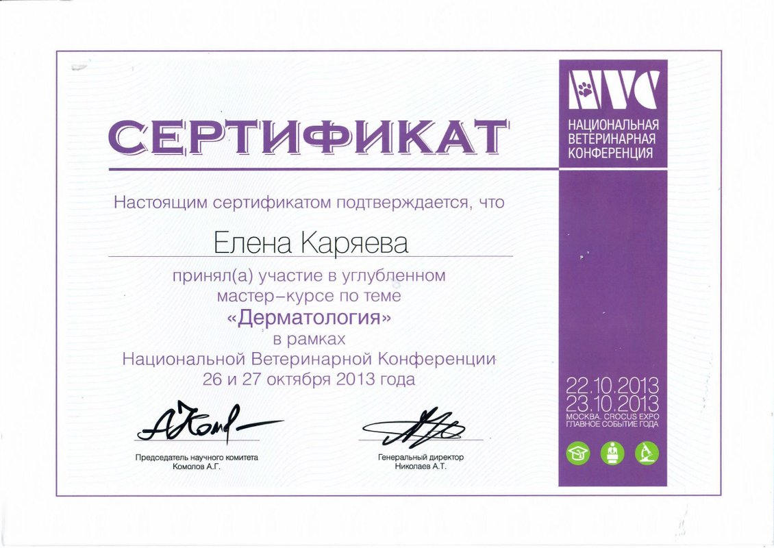 Документ или сертификат