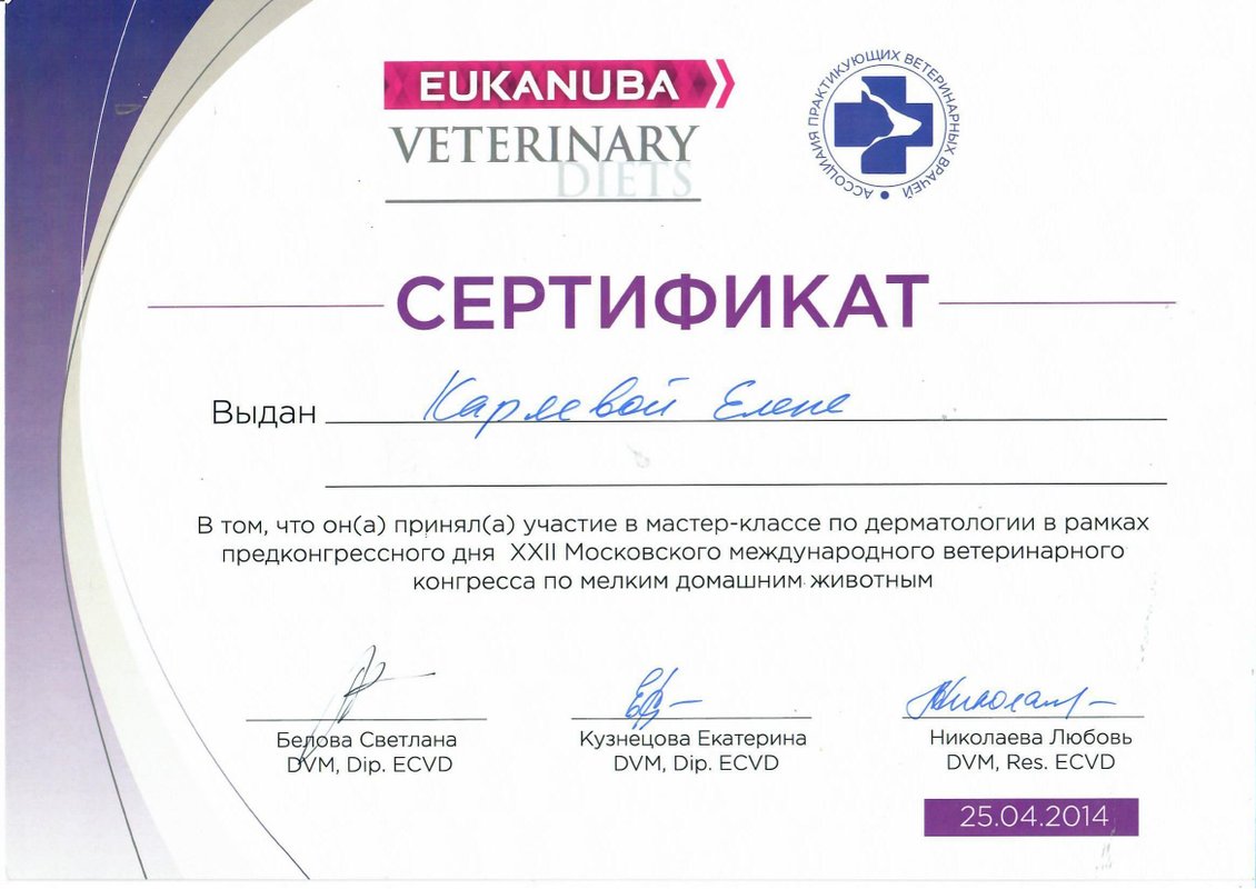 Документ или сертификат