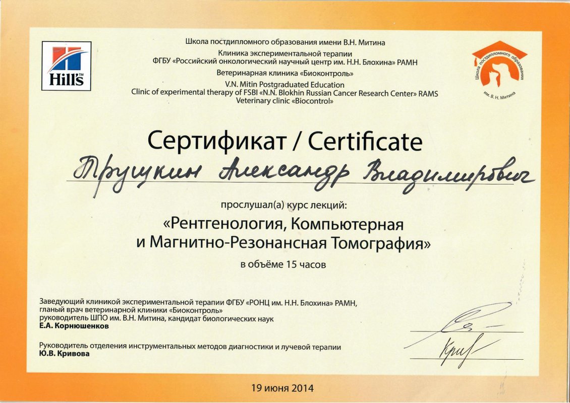Документ или сертификат