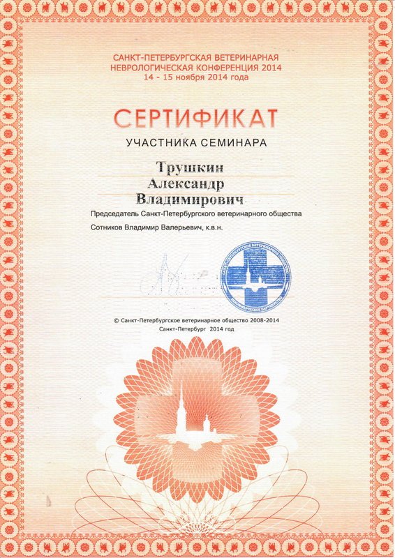 Документ или сертификат
