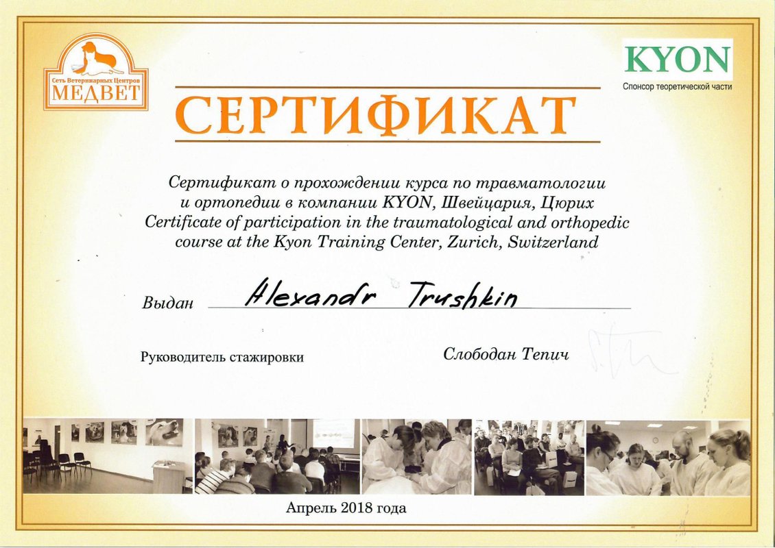 Документ или сертификат
