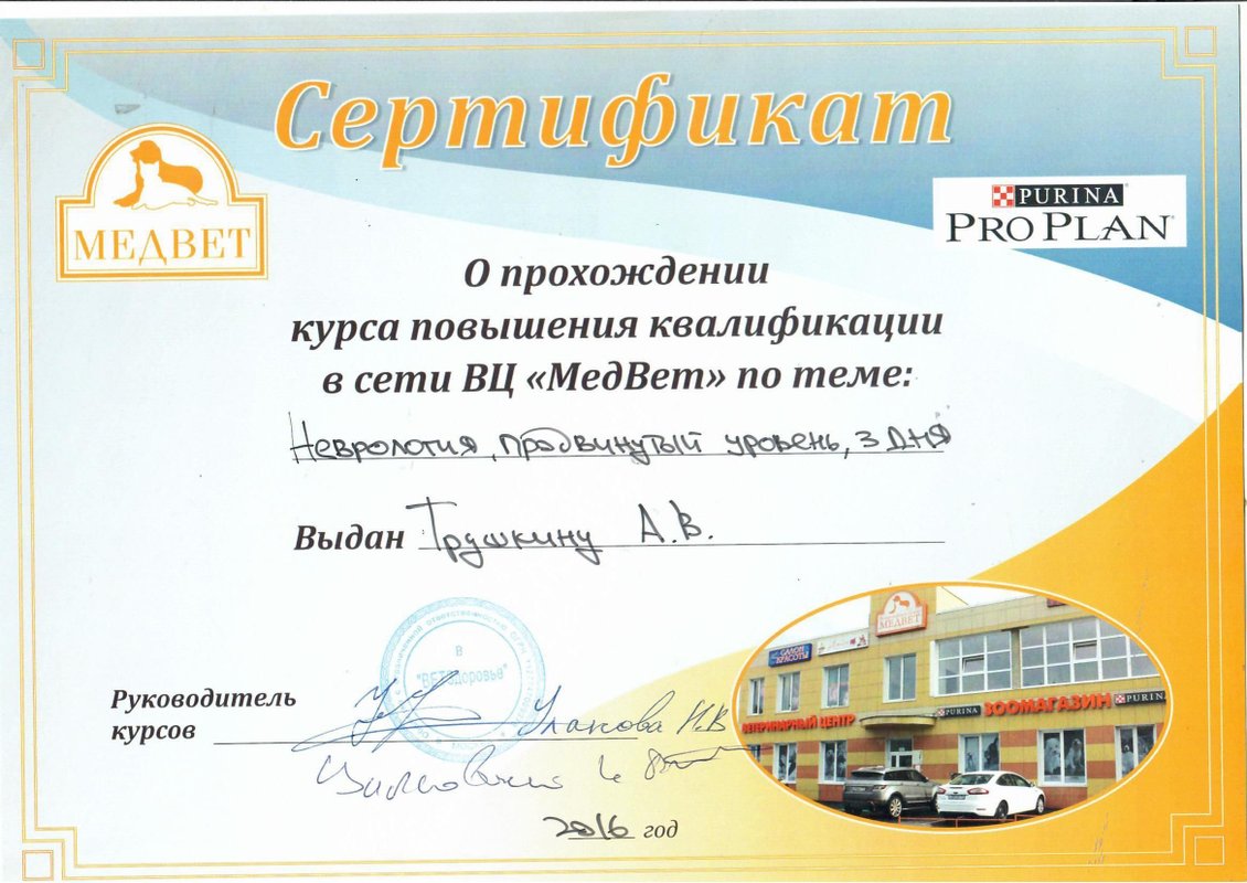Документ или сертификат