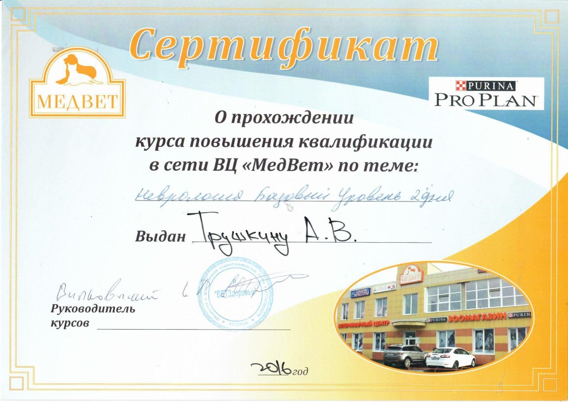 Документ или сертификат