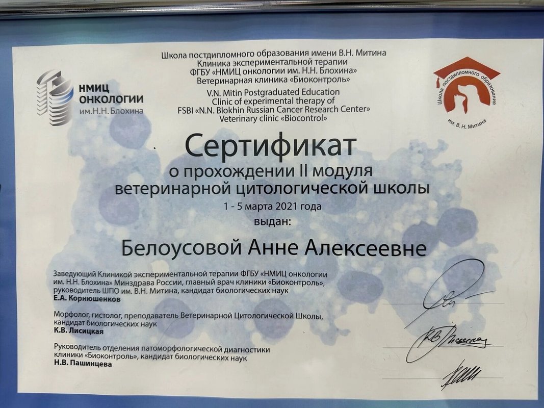 Документ или сертификат