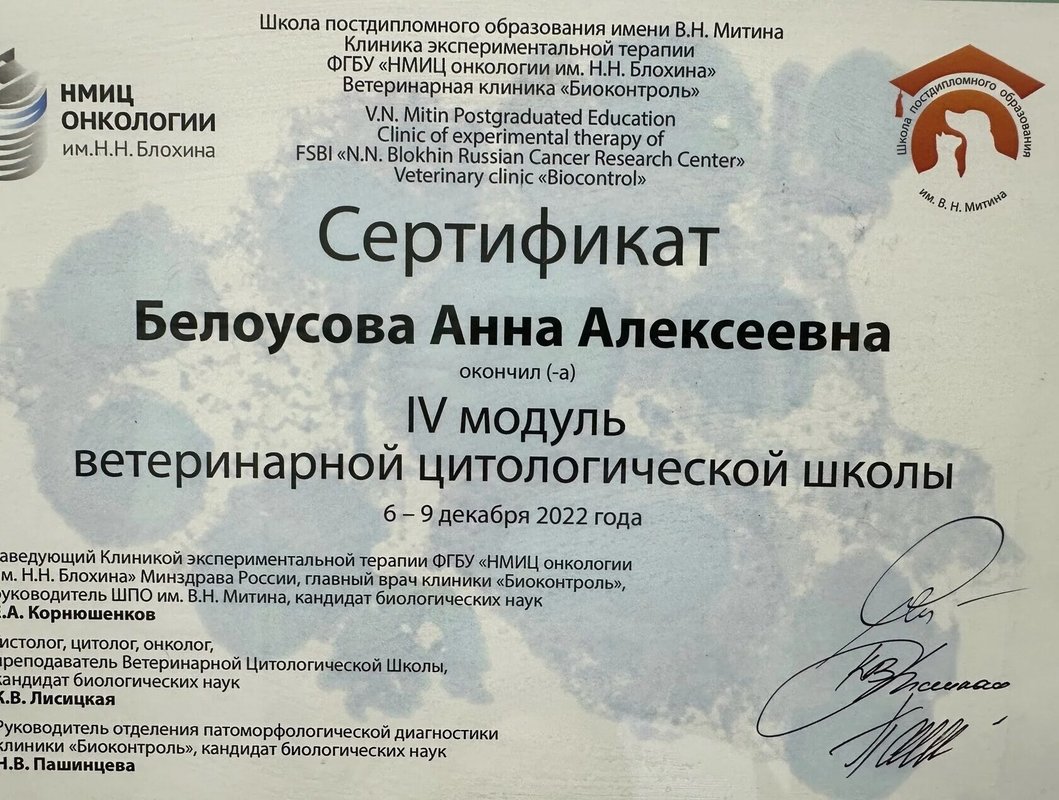 Документ или сертификат
