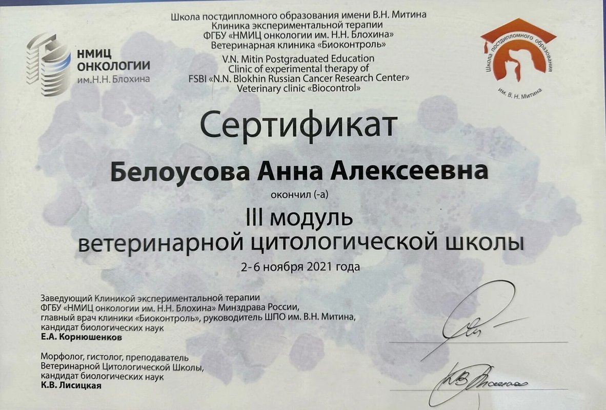 Документ или сертификат