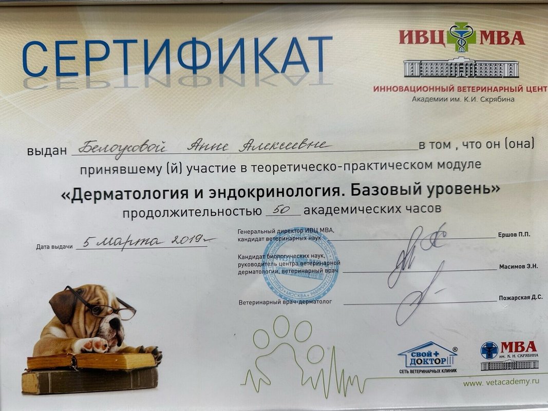Документ или сертификат
