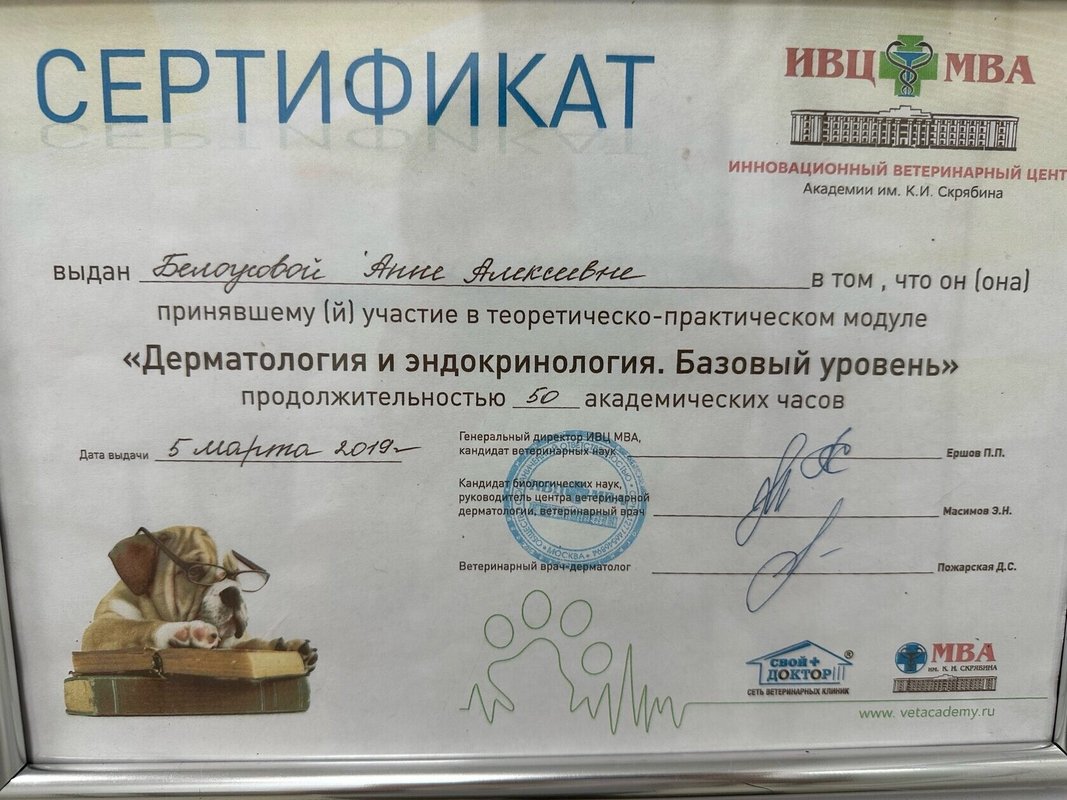 Документ или сертификат