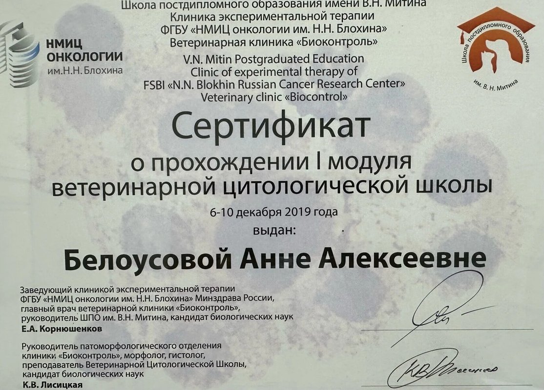Документ или сертификат