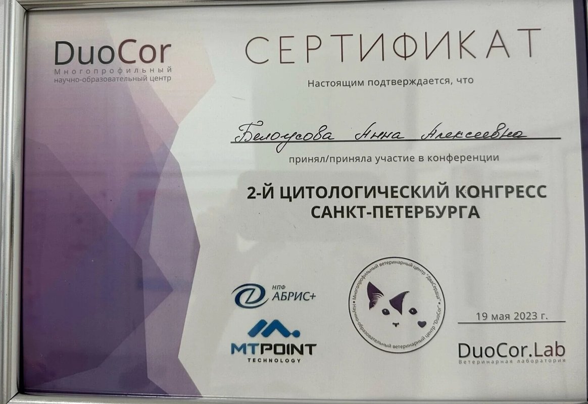 Документ или сертификат