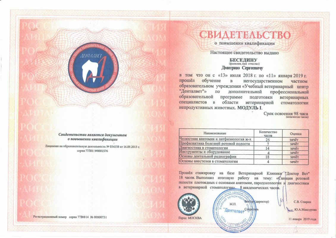 Документ или сертификат