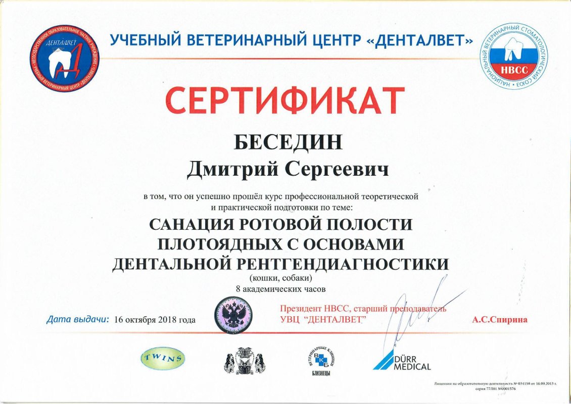 Документ или сертификат